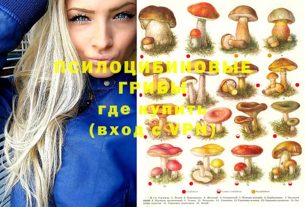 mdpv Покачи