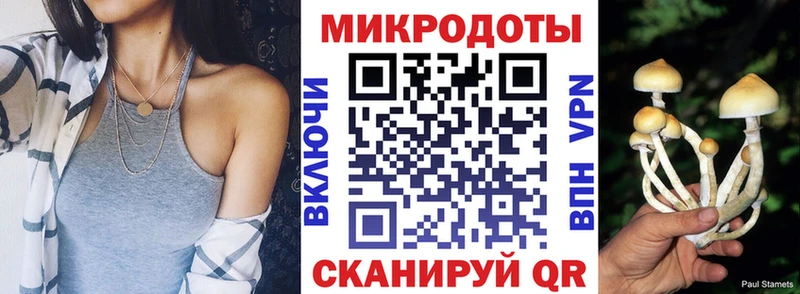 Галлюциногенные грибы Psilocybine cubensis  что такое   Ачинск 