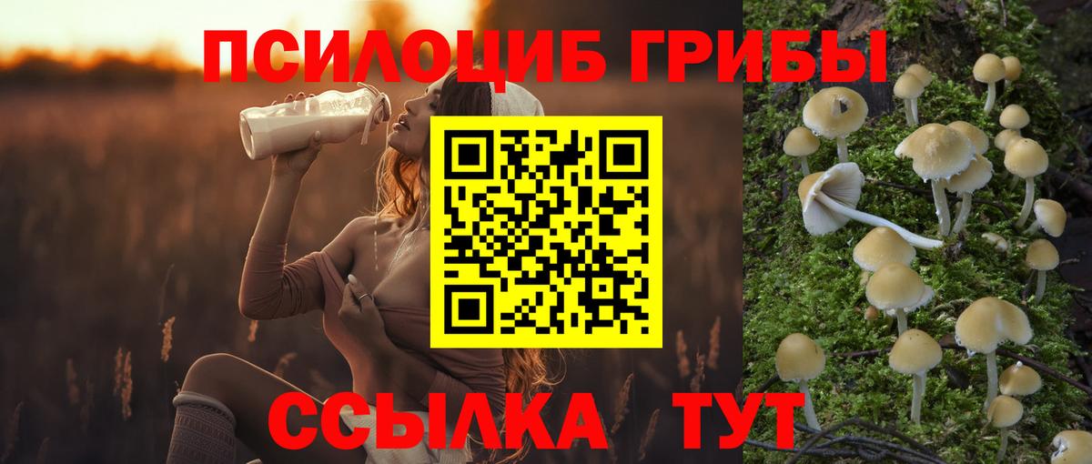 Псилоцибиновые грибы мухоморы Ачинск